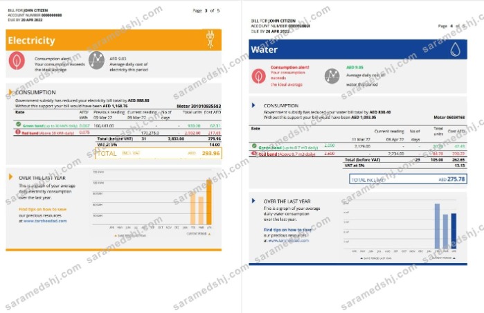 UAE Abu Dhabi Al Ain Distribution Co. Word and PDF utility bill template (5 pages) 3 4